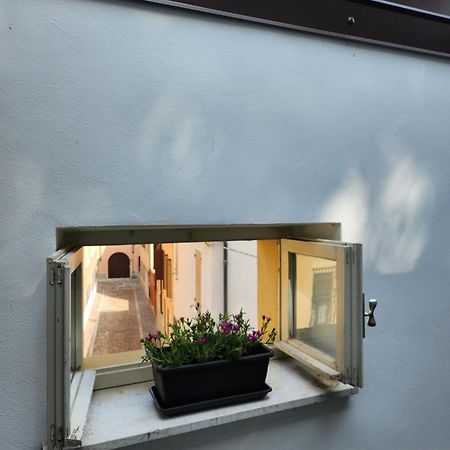 Domus Flavia Apartment มานโตวา ภายนอก รูปภาพ